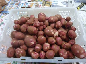 New Potatoes