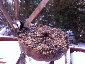 Birdfeeder